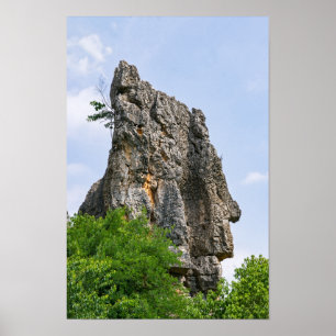 Shilin-Felsnadeln Steinerner Wald - Yunnan,China,A Poster