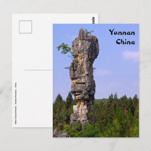 Shilin-Felsnadeln Steinwald - Yunnan,China,Asien Postkarte