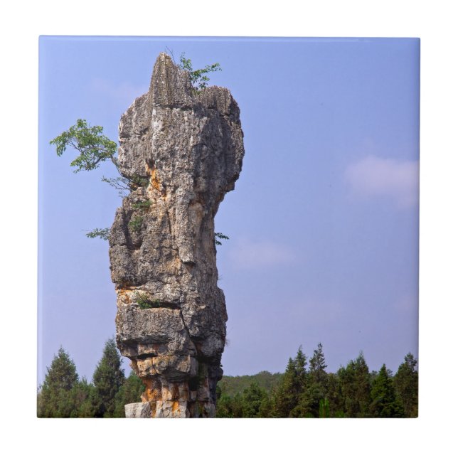 Shilin pinnacles Steinwald - Yunnan, China, Asien Fliese (Vorderseite)