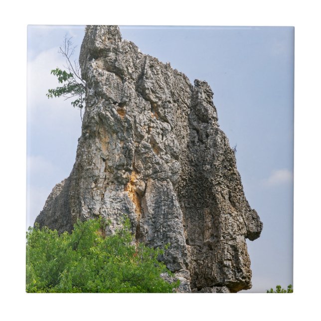 Shilin pinnacles Steinwald - Yunnan, China, Asien Fliese (Vorderseite)