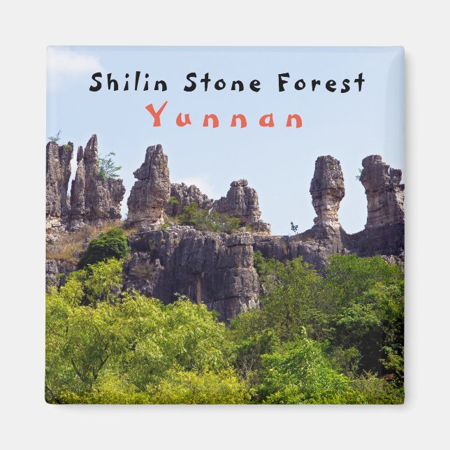 Shilin pinnacles Steinwald - Yunnan, China, Asien Magnet (Vorne)