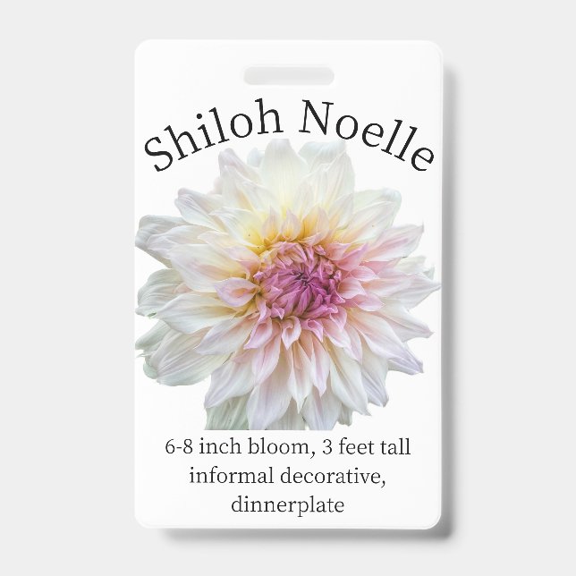 Shiloh Noelle Dahlia ID Abzeichen Ausweis (Vorderseite)