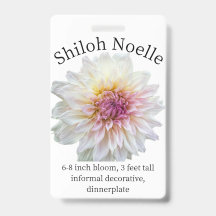 Shiloh Noelle Dahlia ID Abzeichen