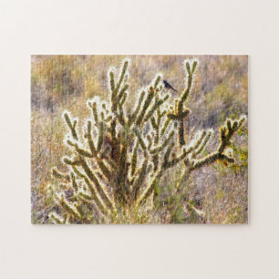 Shimmer Cactus Nevada. Puzzle