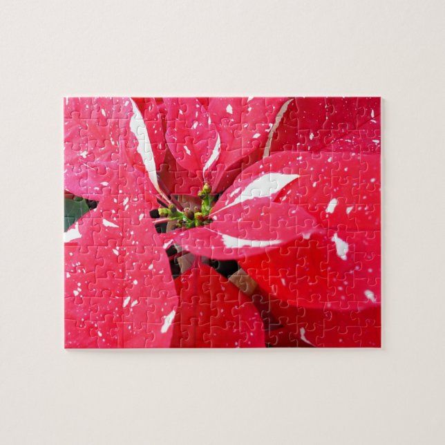 Shimmer Star Überraschung Poinsettia Holiday Flora Puzzle (Horizontal)