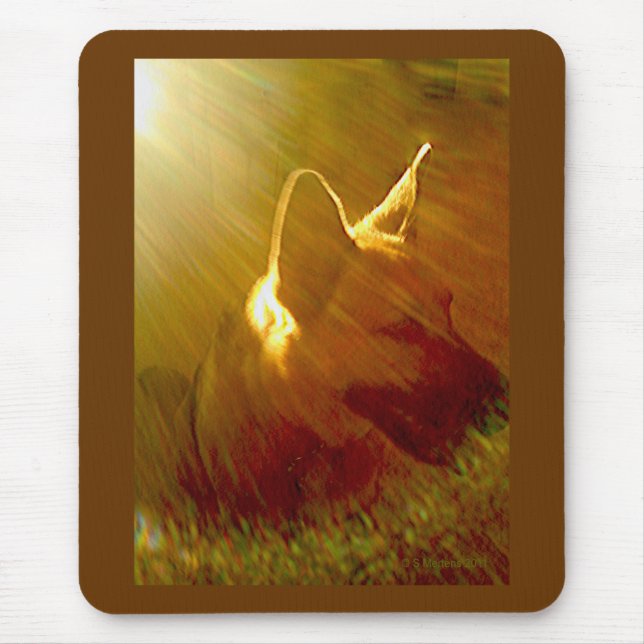 Shine on Me German Shepherd #1 Mousepad (Vorne)