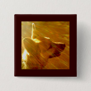 Shine on Me German Shepherd #2 Button