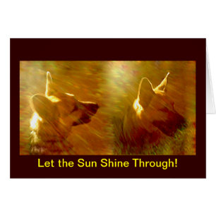 Shine on Me German Shepherd bekommen Well Card