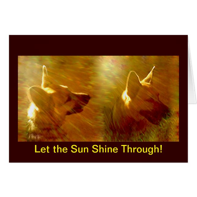 Shine on Me German Shepherd bekommen Well Card (Vorderseite (Horizontal))