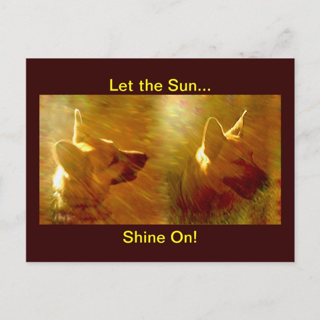 Shine on me German Shepherd Postkarte (Vorderseite)