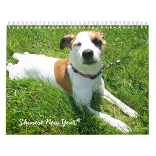 Shinese Kalender