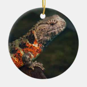 Shinisaurus crocodilurus keramik ornament
