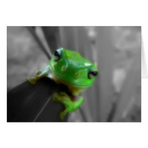 Shiny Green Frog