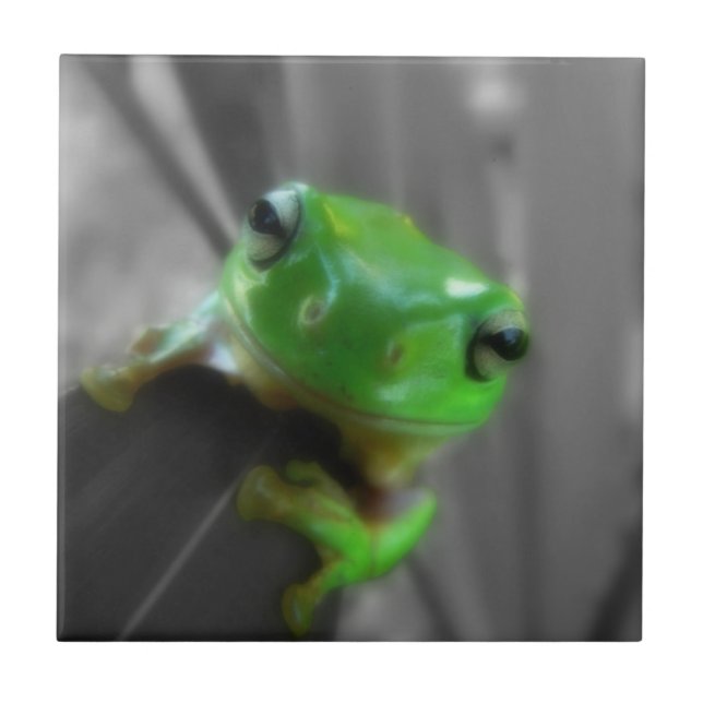 Shiny Green Frog Fliese (Vorderseite)