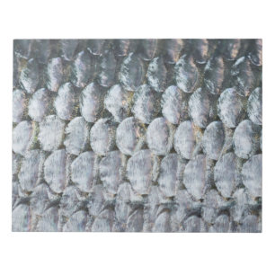 Shiny Lmon Scales Notizblock