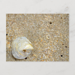 Shiny opal Muschel am Sandstrand nah Postkarte