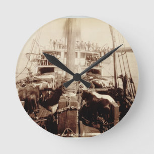 Shipping Cattle on the 'W.G. Hall', Hawaii, 1890s Runde Wanduhr
