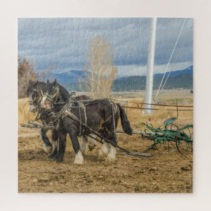 Shire Horses and Plough - 676 Stück Puzzle
