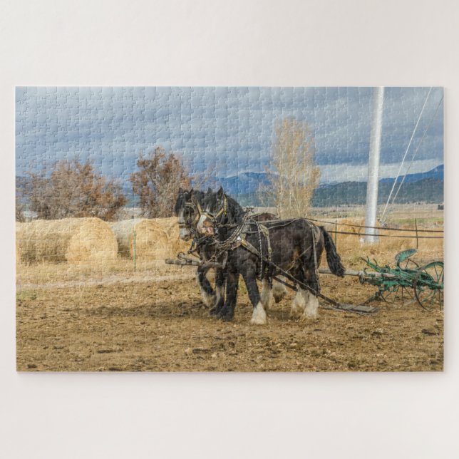 Shire Horses and Plow - 1014 Stück Puzzle (Horizontal)