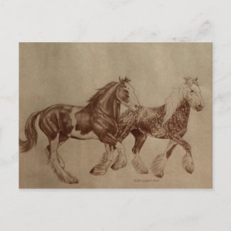 Shires Freedom Postcard Postkarte