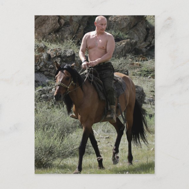 Shirless Putin reitet ein Pferd Postkarte (Vorderseite)