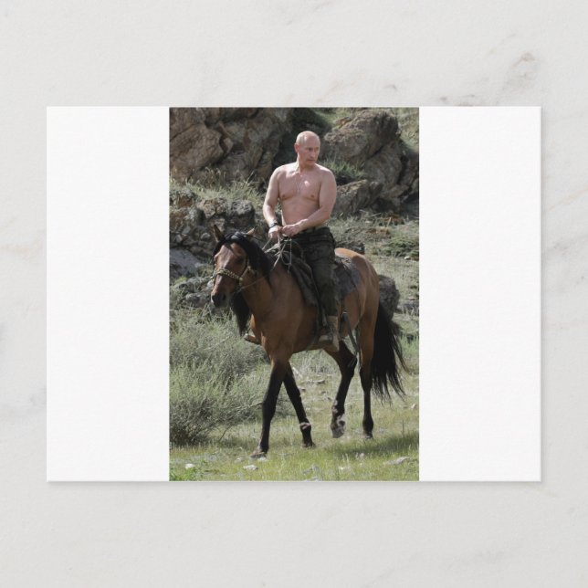 Shirless Putin reitet ein Pferd Postkarte (Vorderseite)