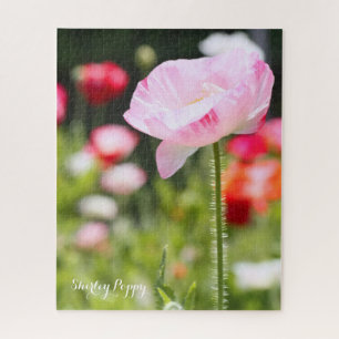 Shirley Poppy [Puzzle Jigsaw: 520P] ソズ ル Puzzle