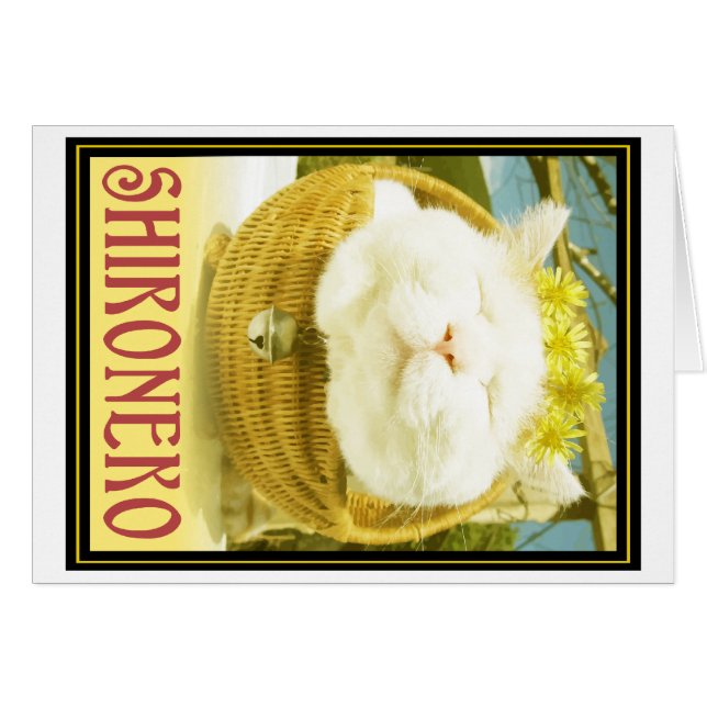 Shironeko oder Korb-Katze (Vorderseite (Horizontal))