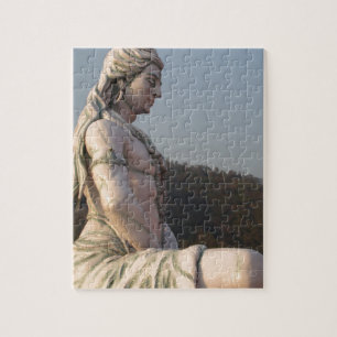 Shiva Puzzle
