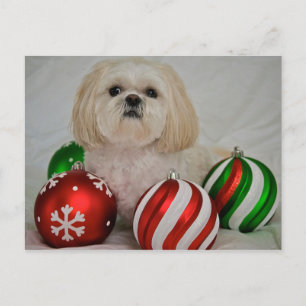 Shiz Tzu mit Weihnachtsdekoration Feiertagspostkarte