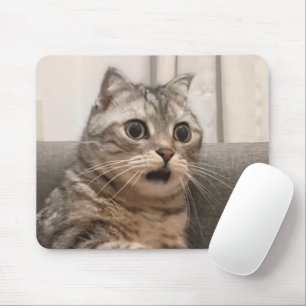 Shock Cat Meme Mouse Pad Mousepad
