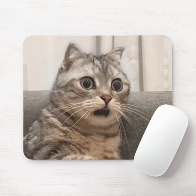 Shock Cat Meme Mouse Pad Mousepad (Mit Mouse)