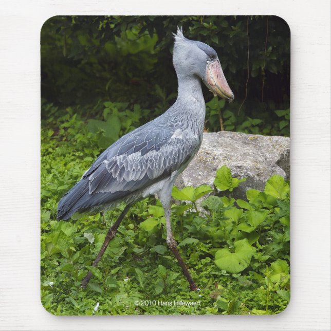 Shoebill Mousepad (Vorne)