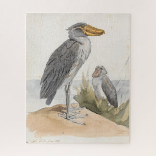 Shoebill Stork 1887 Print Zoological African Puzzle