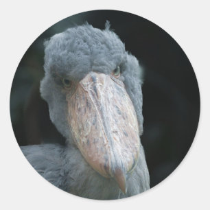 Shoebill's Charm Runder Aufkleber