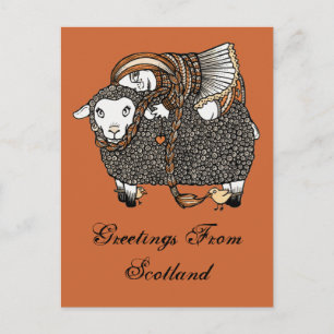 Shonaghs Sheep Postcard Postkarte