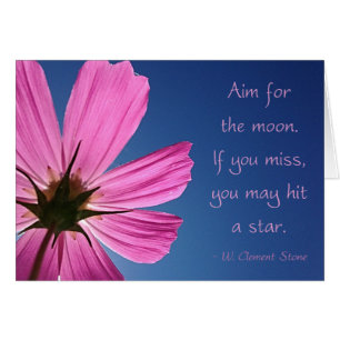 Shoot for Cosmos Moon