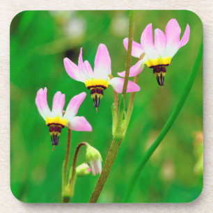 Shooting Star Wildblumen im Mission Trails Park Getränkeuntersetzer