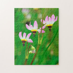 Shooting Star-Wildblumen im Mission Trails Park Puzzle