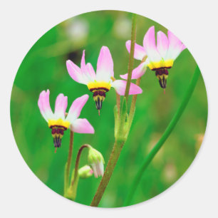 Shooting Star Wildblumen im Mission Trails Park Runder Aufkleber