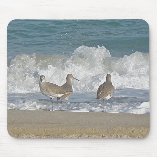 Shore Bird Trio Mousepad (Vorne)
