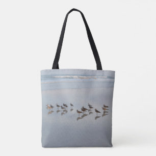 Shore Birds