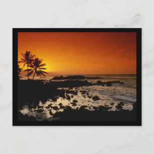 Shore Oahu Hawaii Postkarte