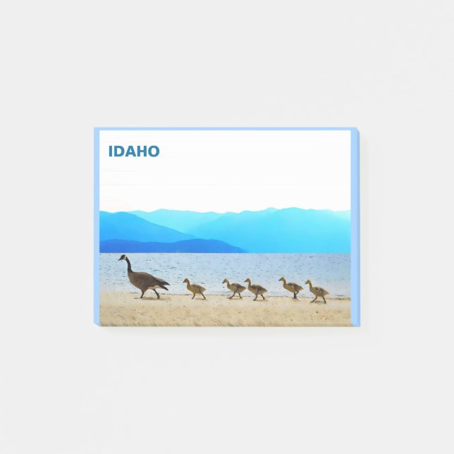 Shore Patrol - Gänse aus Kanada Post-it Klebezettel (Vorderseite)