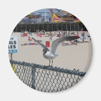 Shore Thing Magnet
