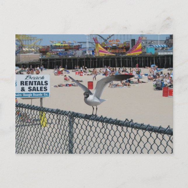 Shore Thing Postkarte (Vorderseite)