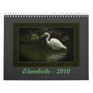 Shorebirds - 2010 kalender