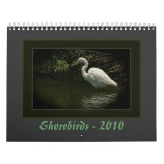 Shorebirds - 2010 kalender