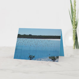 Shorebirds auf der Flügel-Gruß-Karte Karte