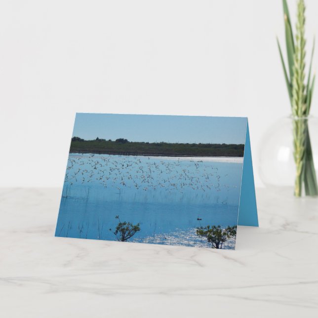 Shorebirds auf der Flügel-Gruß-Karte Karte (Vorderseite)